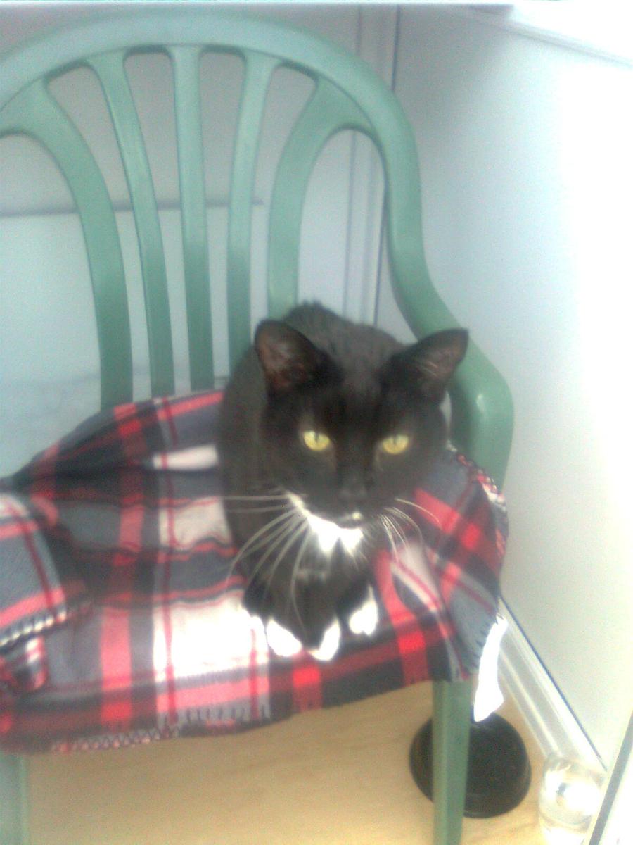 This is Meg one of our older guests