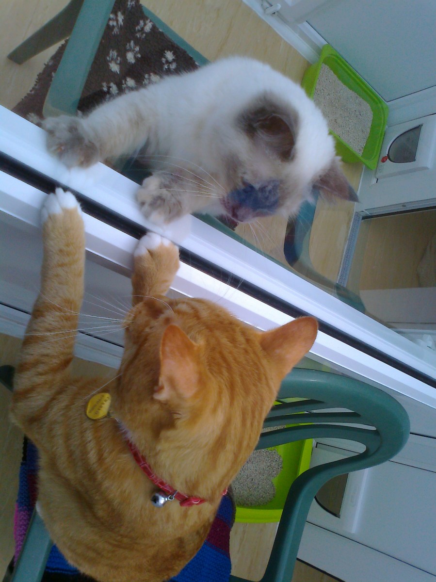 Result how can she resist!